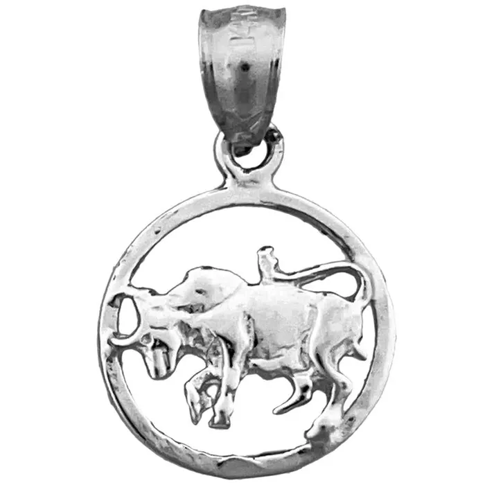 14K Gold Taurus Zodiac Circle Charm Goldia Charm Necklaces